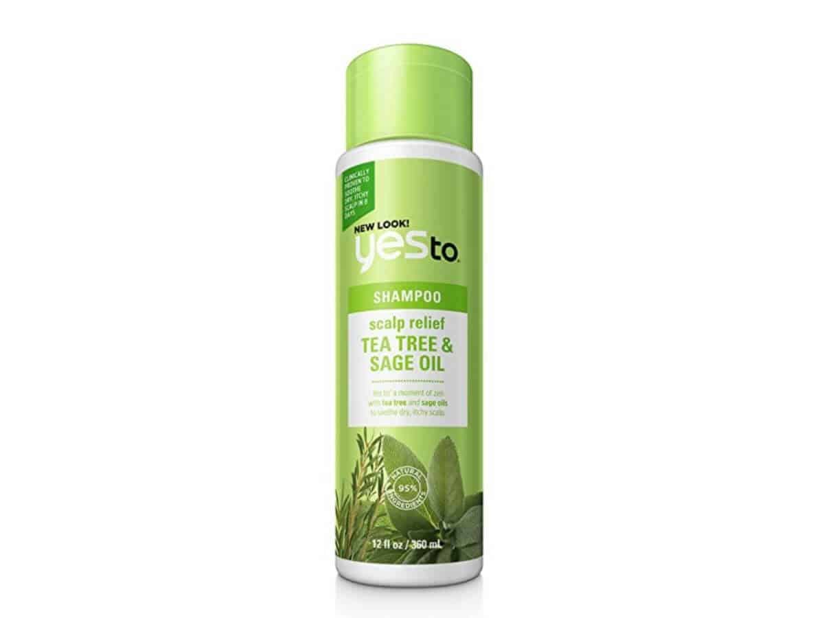 Yes To tea tree oil shampoo.