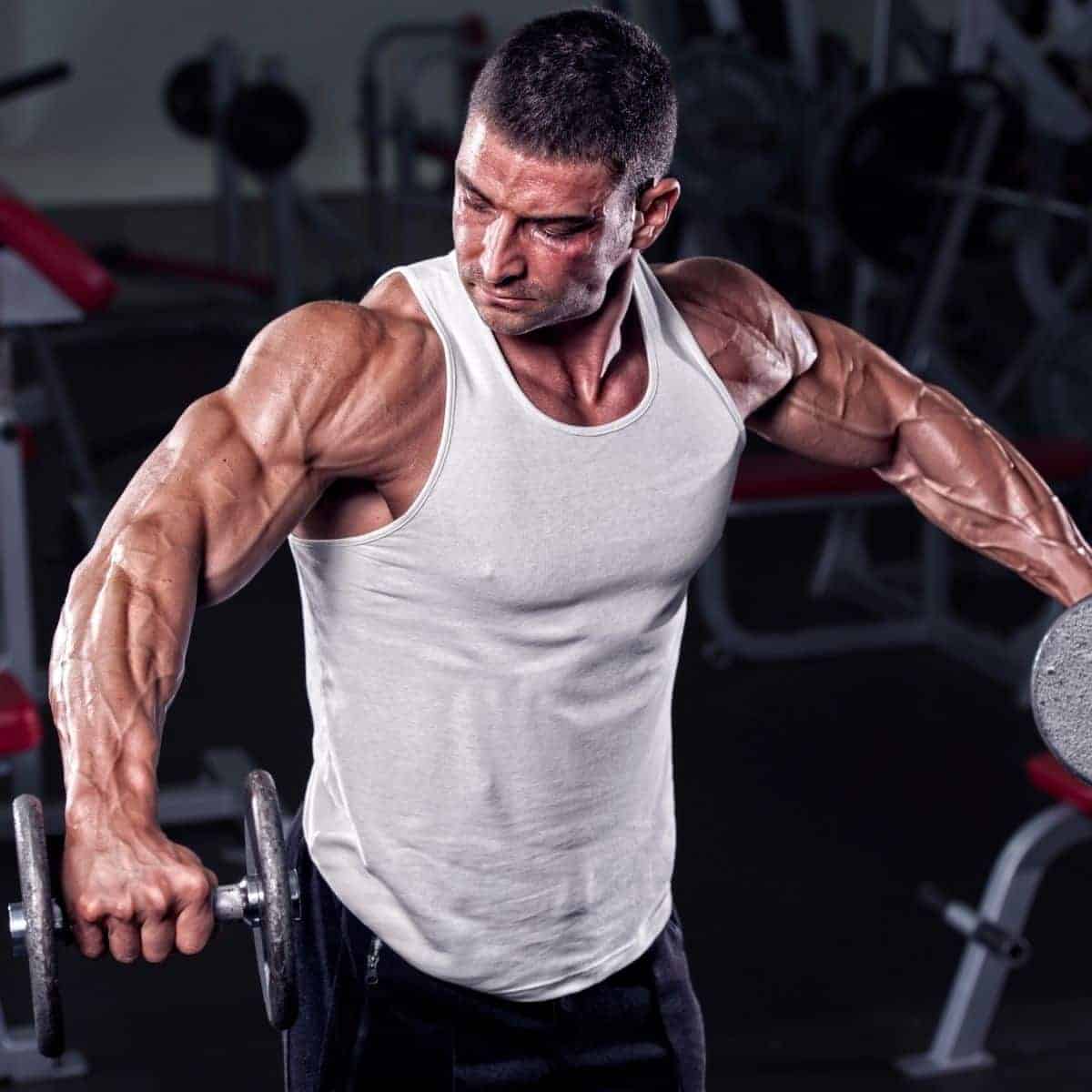 Person doing a dumbbell lateral raise exercise.