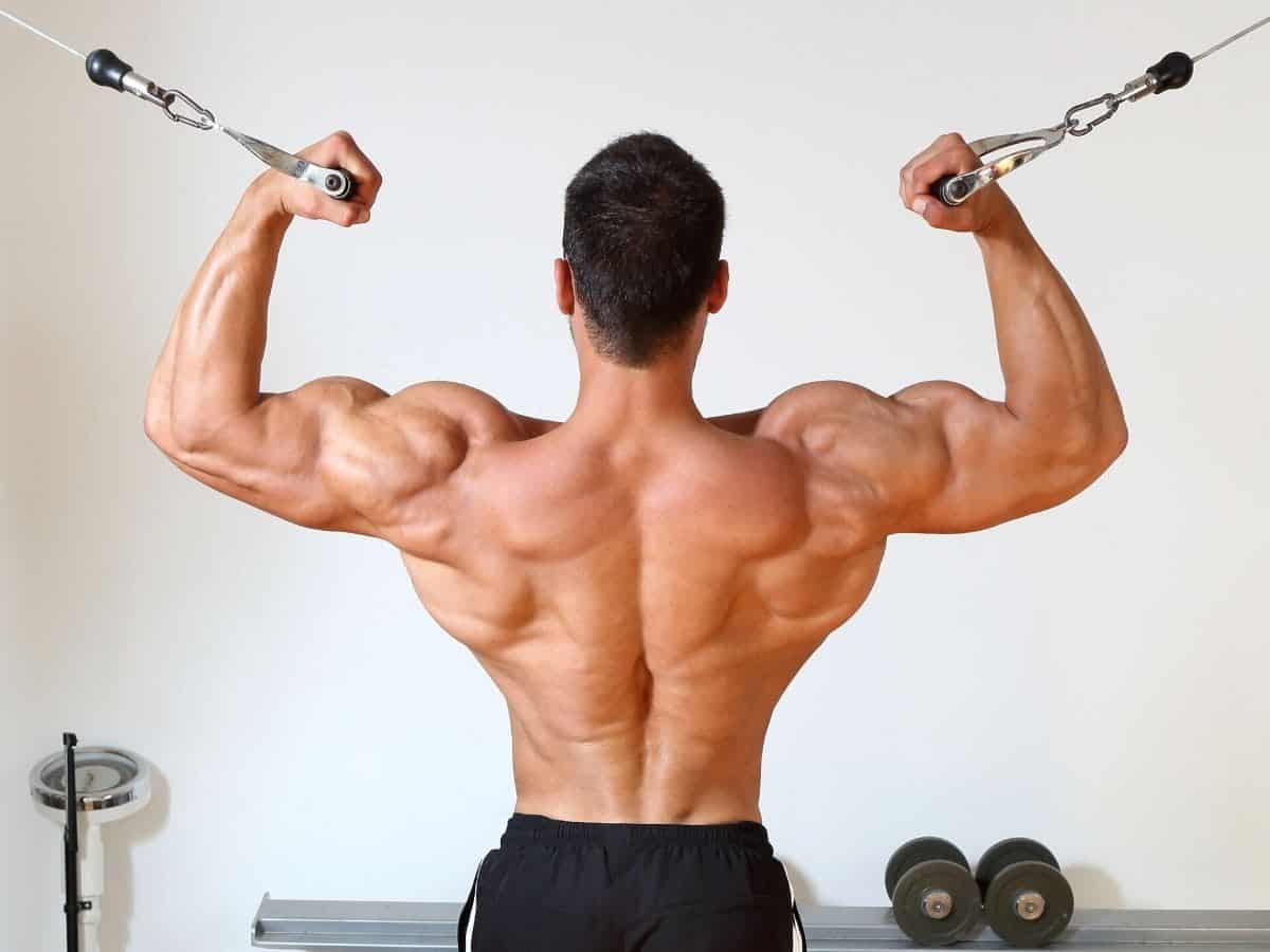 Back of a person doing overhead cable curls.