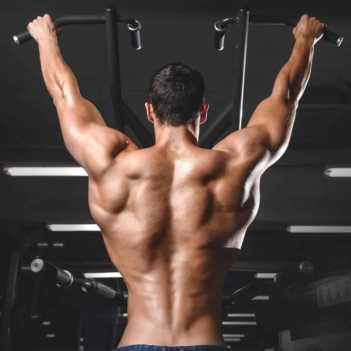 Person's back muscles while doing a pull-up.