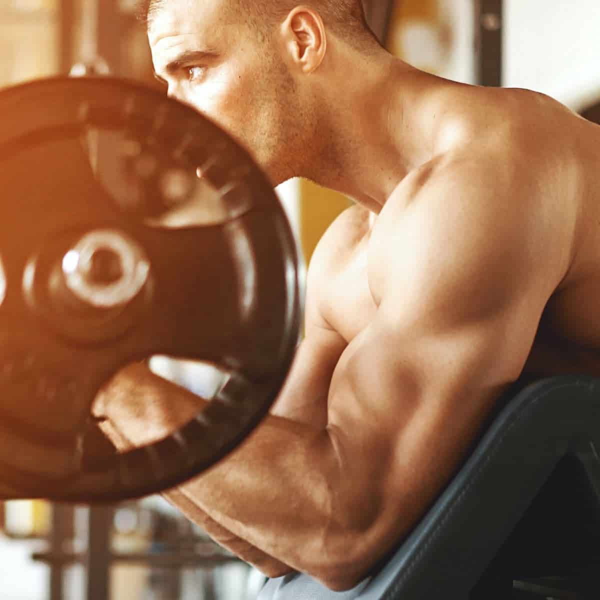 Person doing bicep preacher curls.