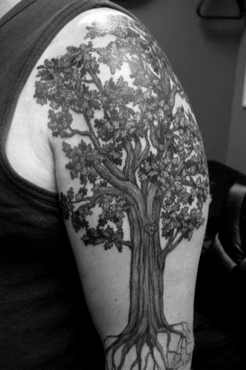 Person with a shoulder tattoo of an oak tree.