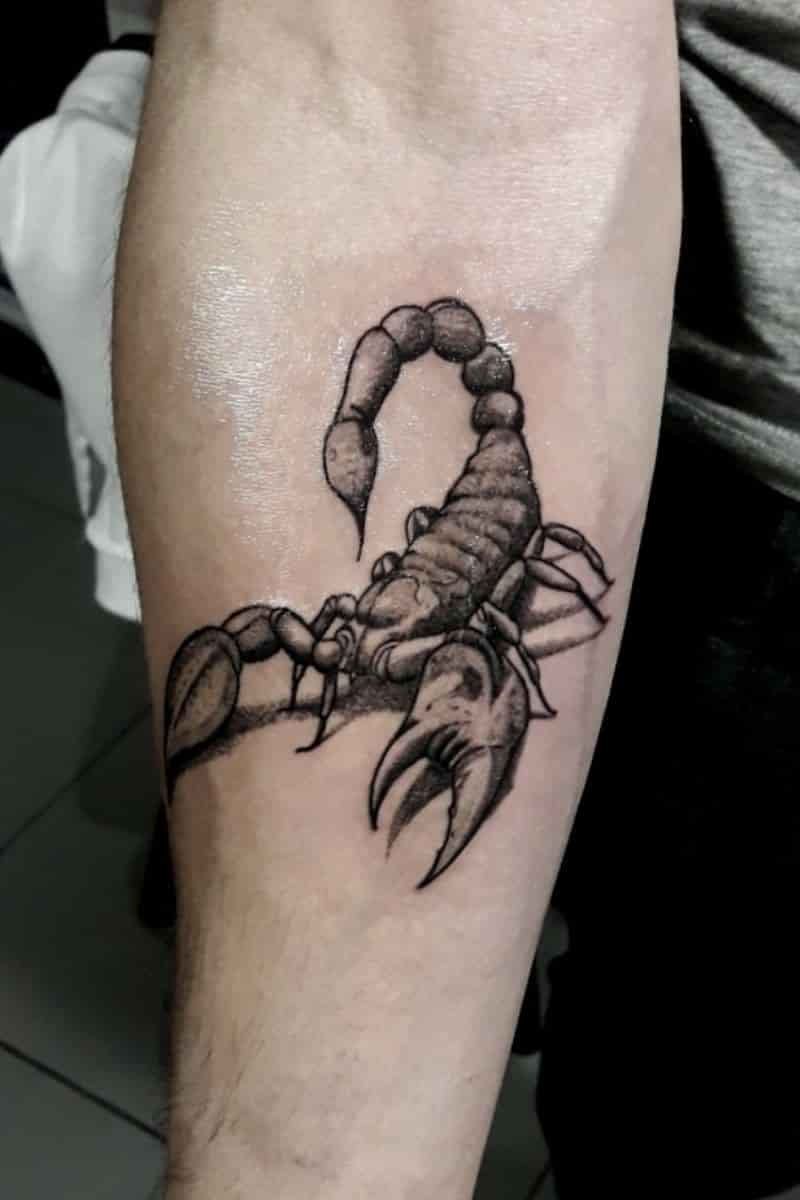 Scorpion tattoo on a person's forearm.