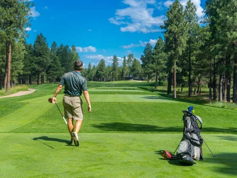 Golfer looking at the course.