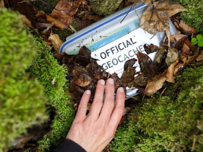 A hand reaching for a geocache buried by dried leaves.