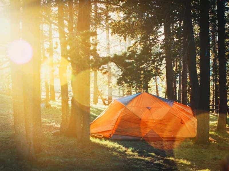 Tent in a forest with sunlight shining through the trees.